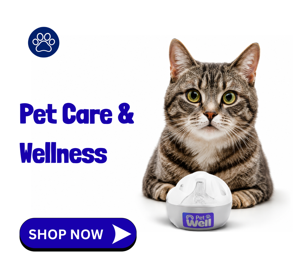 Pet Care & Wellness