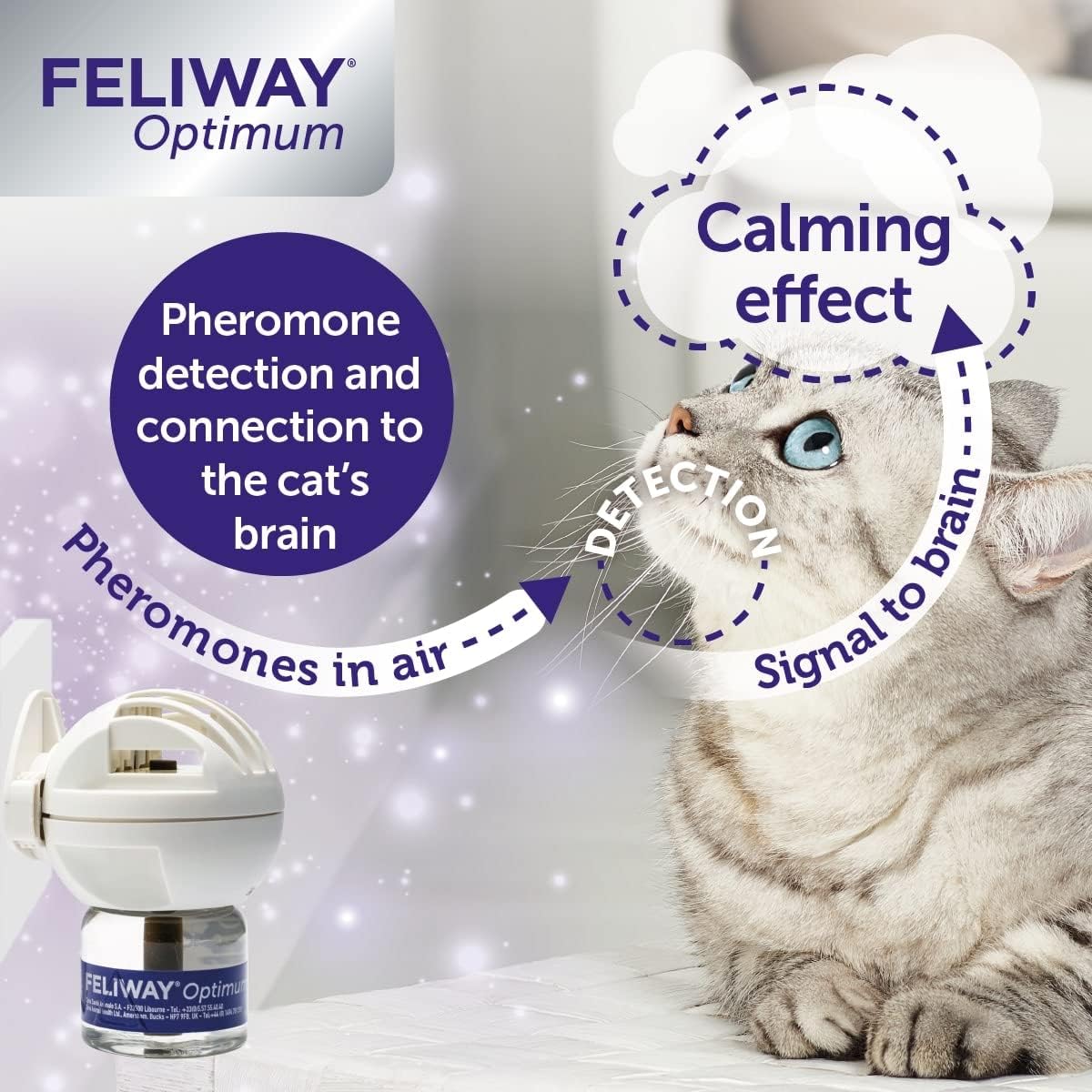 FELIWAY Optimum 3x30 Day Cat Calming Odourless Refills for Pheromone Diffuser, 3x48ml Value Pack