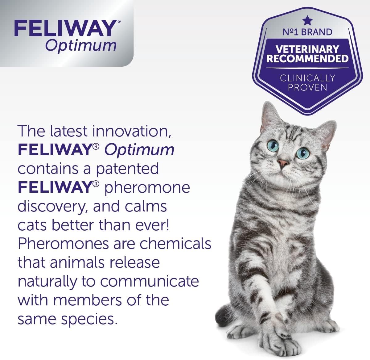 FELIWAY Optimum 3x30 Day Cat Calming Odourless Refills for Pheromone Diffuser, 3x48ml Value Pack